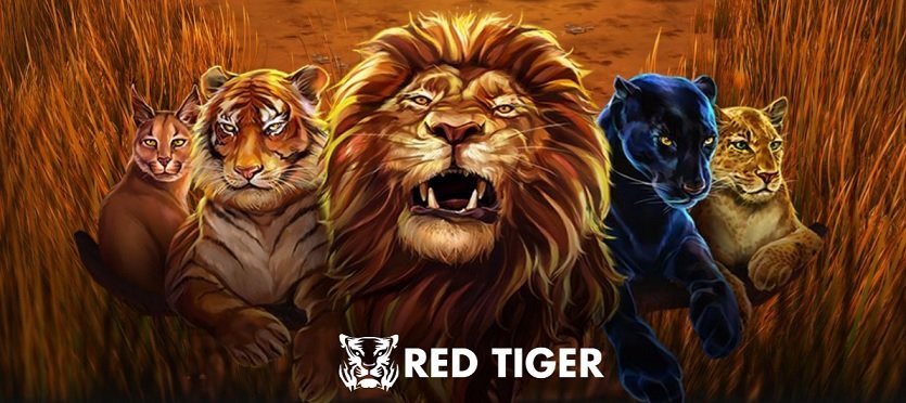 Berburu Jackpot Bersama Singa dan Harimau di Wild Cats Multiline